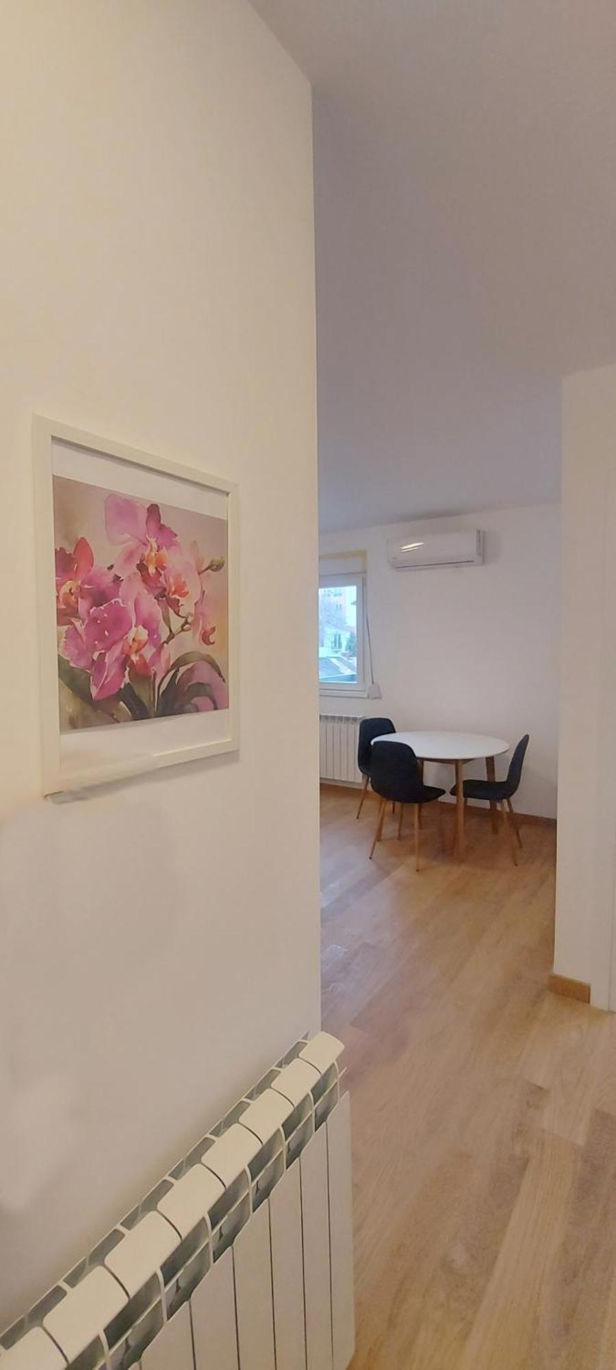 Magenta Zvezdara Lejlighed Beograd Eksteriør billede